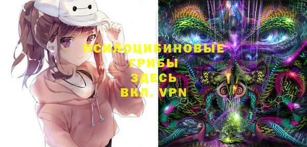 Альфа ПВП Беломорск