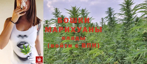 Альфа ПВП Беломорск