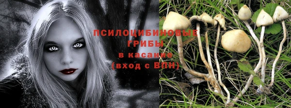спиды Белоозёрский